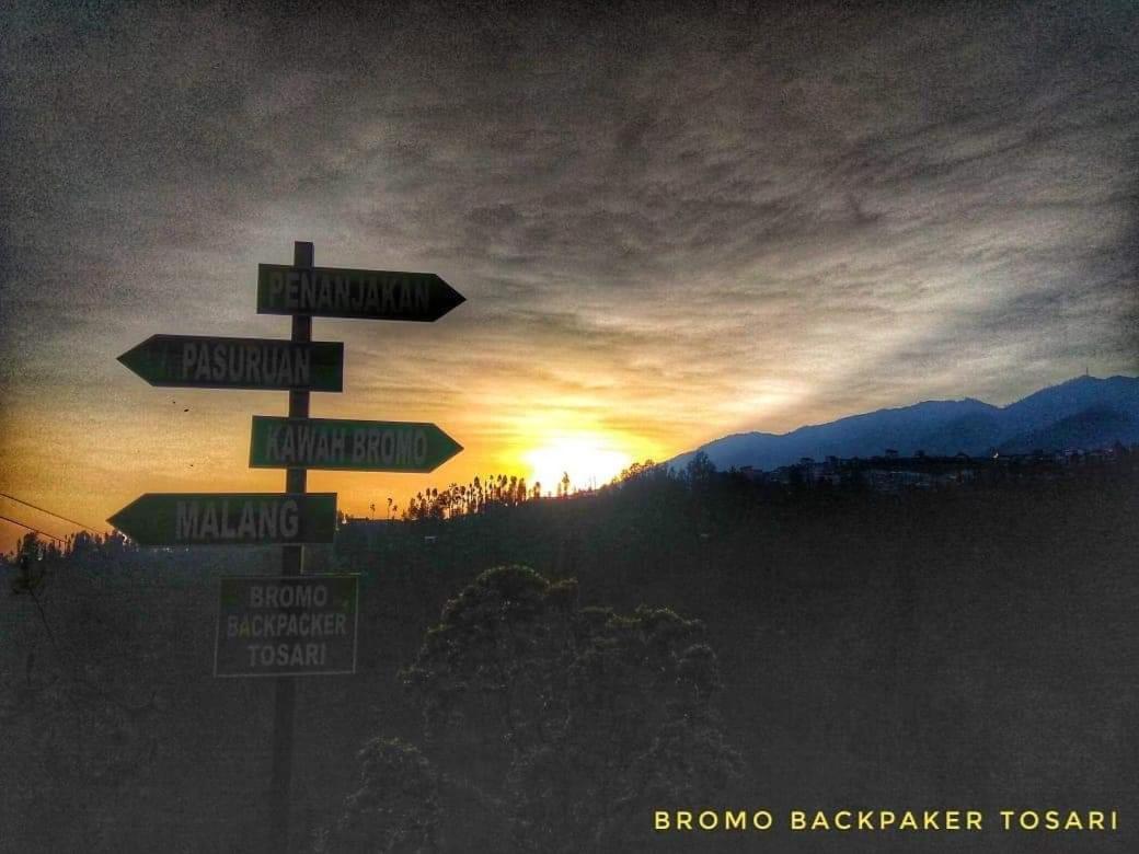 Bromo Backpacker Tosari Apartment ปาซูรูอัน ภายนอก รูปภาพ