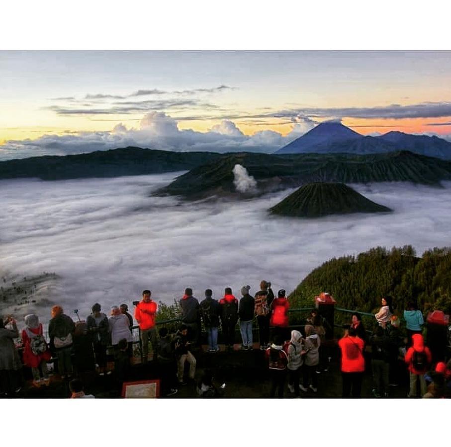 Bromo Backpacker Tosari Apartment ปาซูรูอัน ภายนอก รูปภาพ