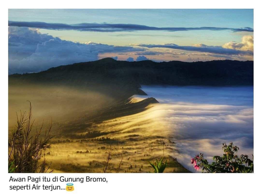 Bromo Backpacker Tosari Apartment ปาซูรูอัน ภายนอก รูปภาพ