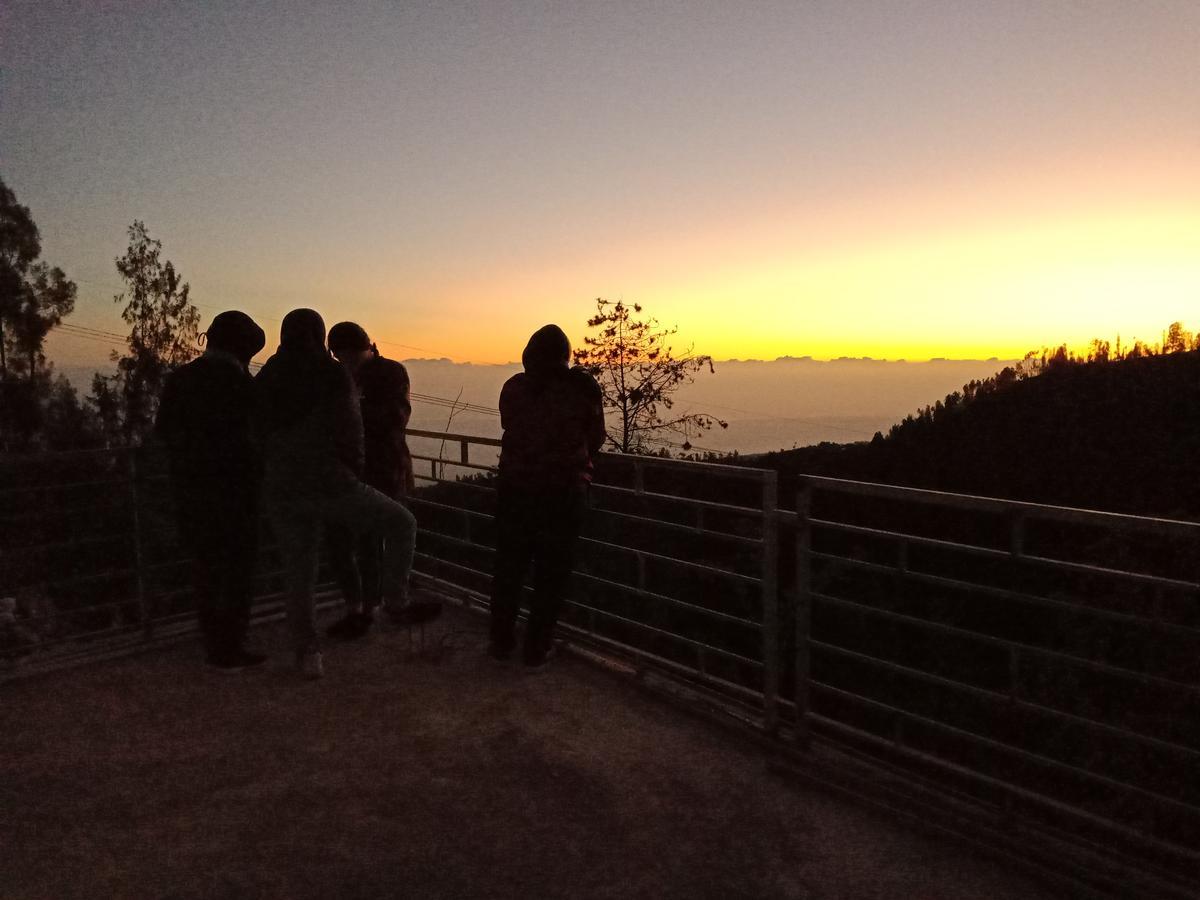 Bromo Backpacker Tosari Apartment ปาซูรูอัน ภายนอก รูปภาพ